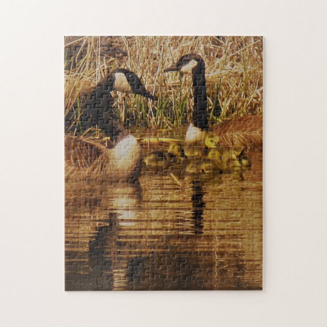 Puzzle Canadá Gose Family Cute Babies Goslings Geese (Vertical)