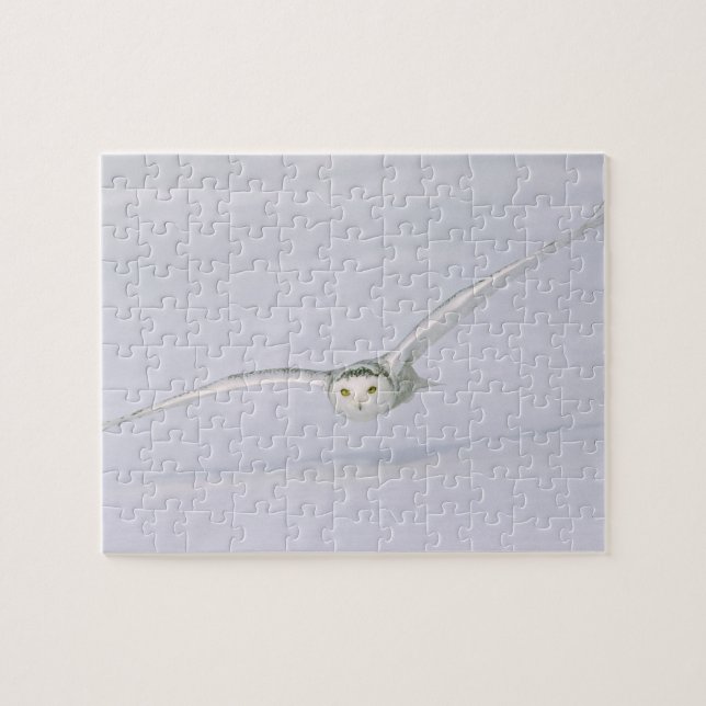 Puzzle Canadá, Quebec. La lechuza vuela bajo sobre la nie (Horizontal)