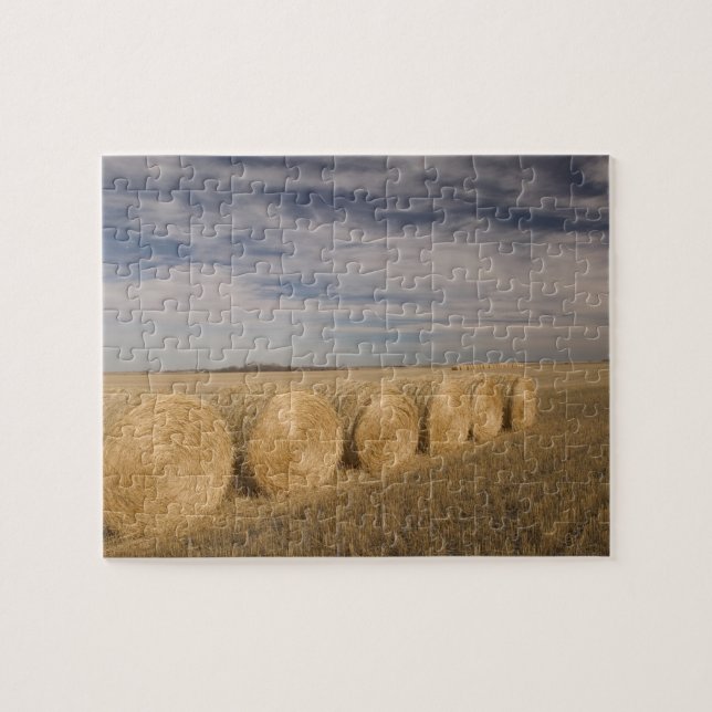 Puzzle Canadá, Saskatchewan, Craik: Rollos de heno / Otoñ (Horizontal)