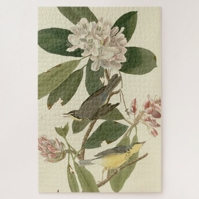 Puzzle Canada Warbler de los pájaros de América de Audubo (Vertical)