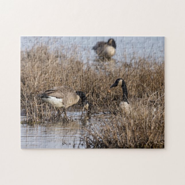 Puzzle Canadiense Geese Snack Time (Horizontal)