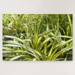 Puzzle Canción de India