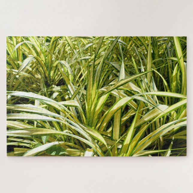 Puzzle Canción de India (Horizontal)