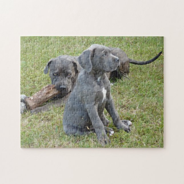 Puzzle Cane Corso Cuppy Cute Playas (Horizontal)