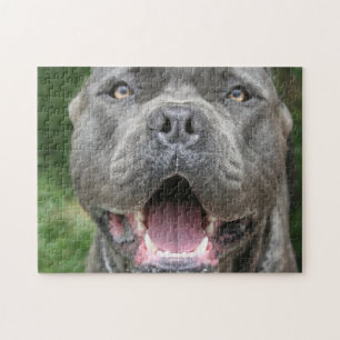 Puzzle Cane Corso Mastiff Perro