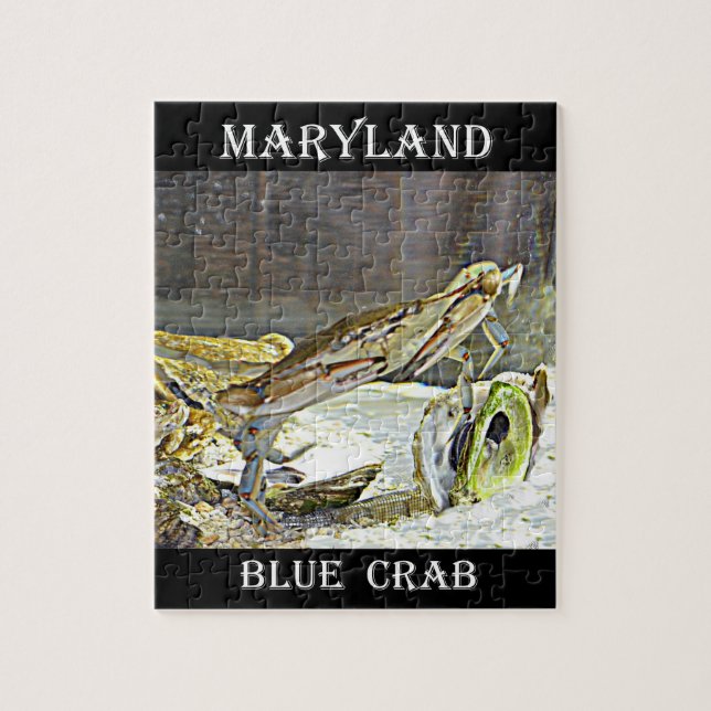 Puzzle Cangrejo azul de Maryland (Vertical)