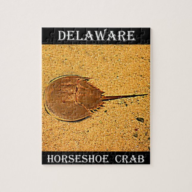 Puzzle Cangrejo de herradura de Delaware (Vertical)