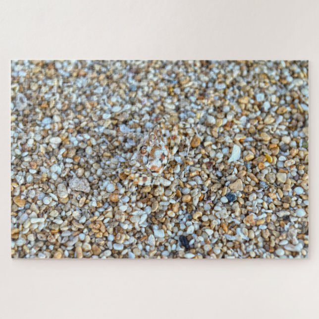 Puzzle Cangrejo fantasma camuflado en una playa de Kauai, (Horizontal)