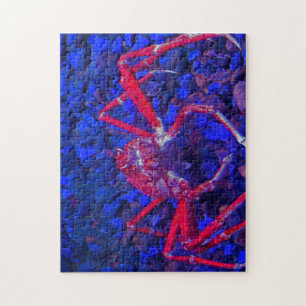 Puzzle Cangrejos araña.