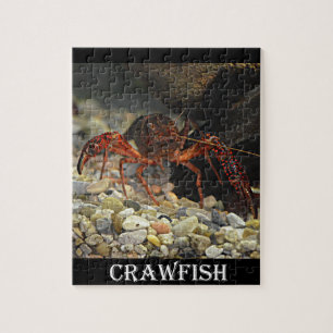Puzzle Cangrejos de Luisiana