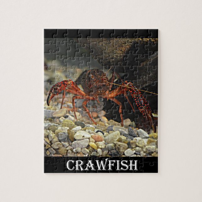 Puzzle Cangrejos de Luisiana (Vertical)