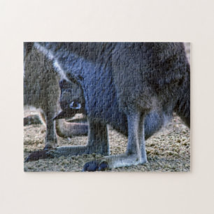 Puzzle Canguro del bebé en la bolsa de la madre -
