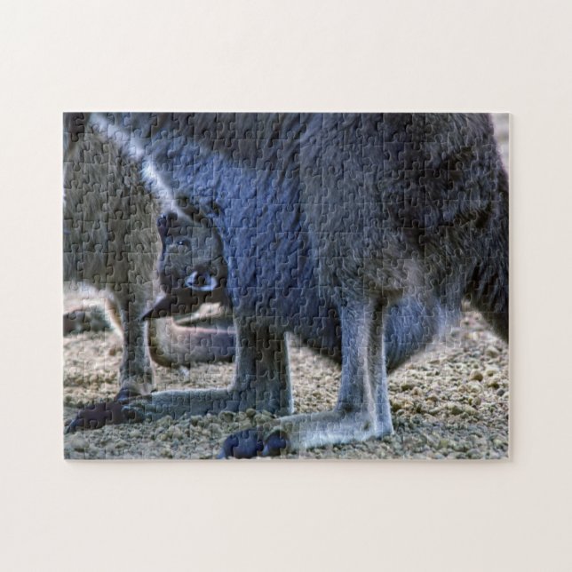 Puzzle Canguro del bebé en la bolsa de la madre - (Horizontal)