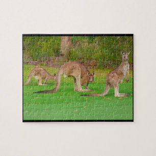 Puzzle canguros