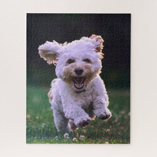 Puzzle Caniche Blanco Corriendo Perro Lindo (Vertical)