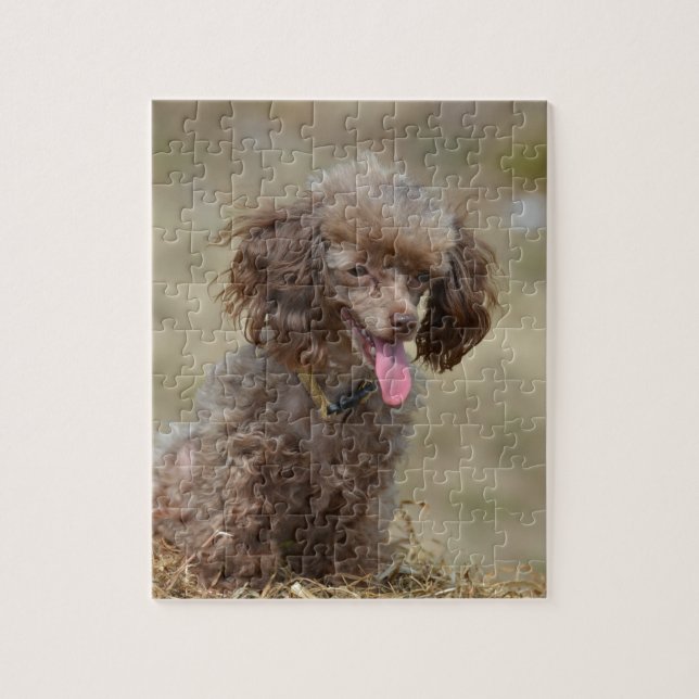 Puzzle Caniche de juguete de Brown (Vertical)