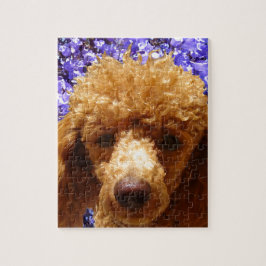 Puzzle Caniche lindo