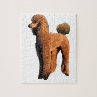 Puzzle caniche rojo