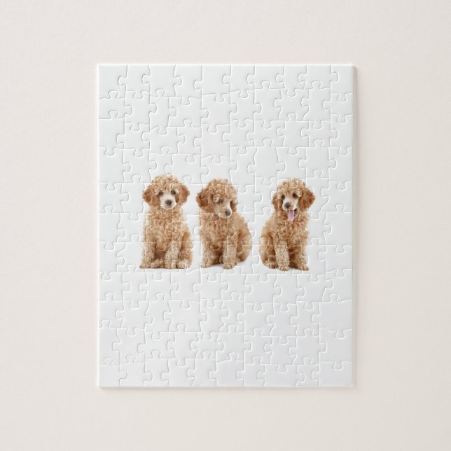 Puzzle Caniches (Vertical)