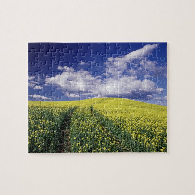 Puzzle Canola amarilla en el condado de Whitman, estado d (Horizontal)