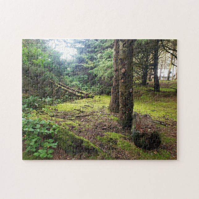 Puzzle Cape Disappointment Camp Pacific Northwest Forest (Horizontal)