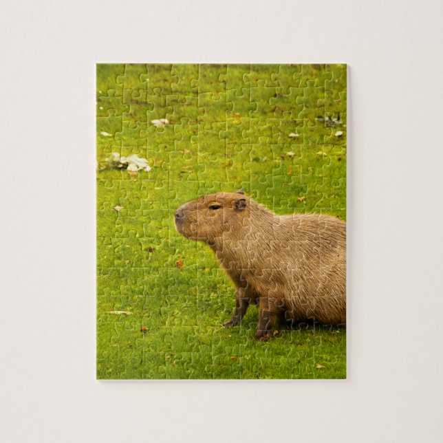 Puzzle Capibara (Vertical)