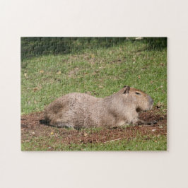 Puzzle Capibara
