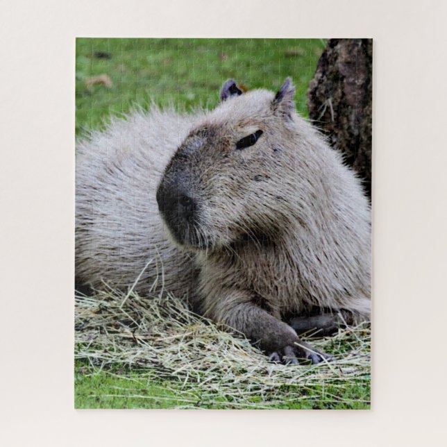 Puzzle capibara 07 (Vertical)