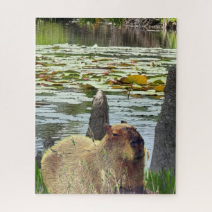 Puzzle Capibara - Pneumatofóres - Vida silvestre