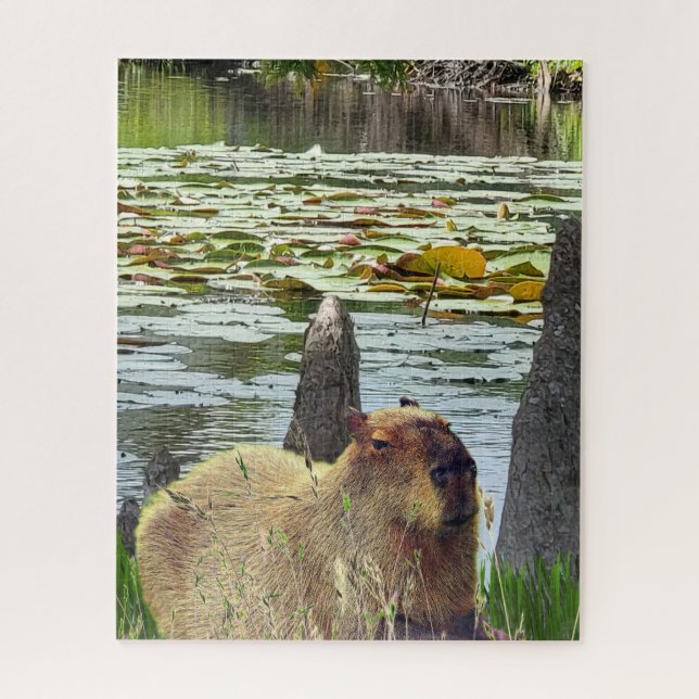 Puzzle Capibara - Pneumatofóres - Vida silvestre (Vertical)