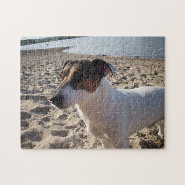 Puzzle Capo von Oppenheim, Jack Russell Terrier Dog (Horizontal)