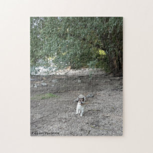 Puzzle Capo von Oppenheim Jack Russell Terrier, Perro