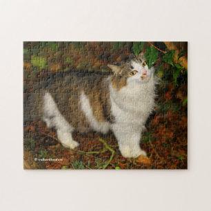 Puzzle Caprichosa El Gato y la Camelia