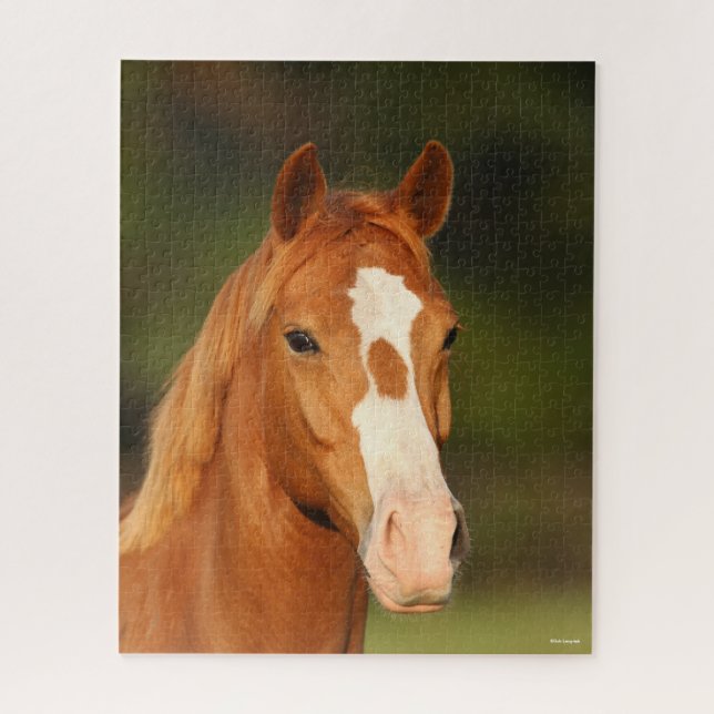 Puzzle Captura de cabeza de castaño de Oldenburg Cross We (Vertical)