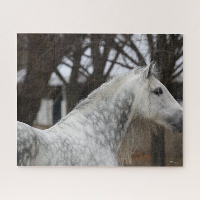 Puzzle Captura de cabeza de Stallion Gris Gray (Horizontal)