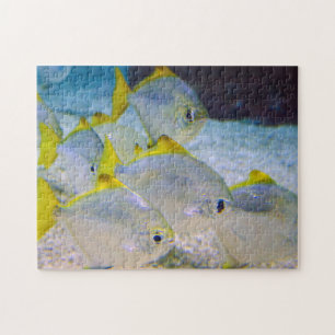 Puzzle Captura de imagen de grupo de peces