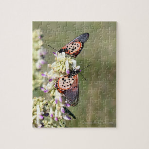 Puzzle Captura De Mariposas En La "Montaña Amajuba"