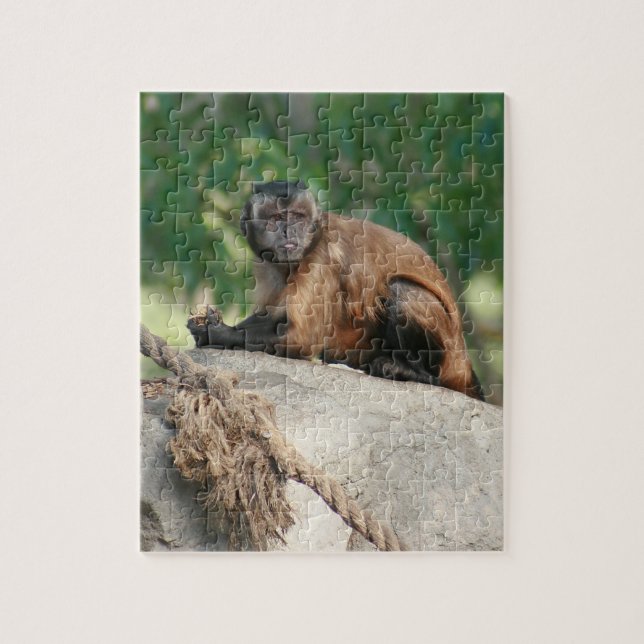 Puzzle Capuchin Monkey Cul pero Cranky (Vertical)