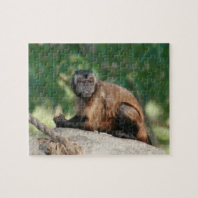 Puzzle Capuchin Monkey Cul pero Cranky (Horizontal)