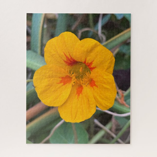 Puzzle Capuchina amarilla, San Francisco (Vertical)