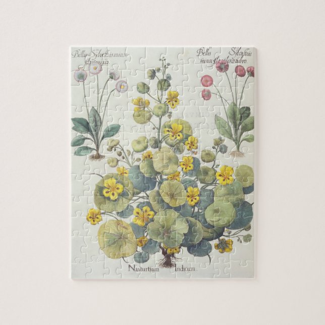 Puzzle Capuchinas y margaritas: 1.Nasturtium Indicum; 2.B (Vertical)