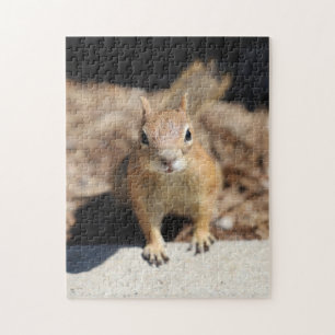 Puzzle Cara de ardilla