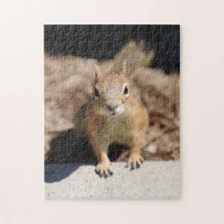Puzzle Cara de ardilla