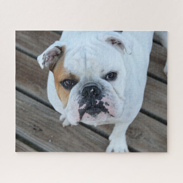 Puzzle Cara de bulldog  (Horizontal)