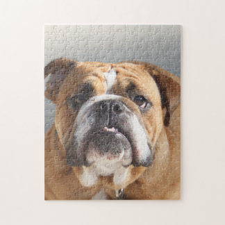 Puzzle Cara de bulldog - Bulldog inglés, marrón