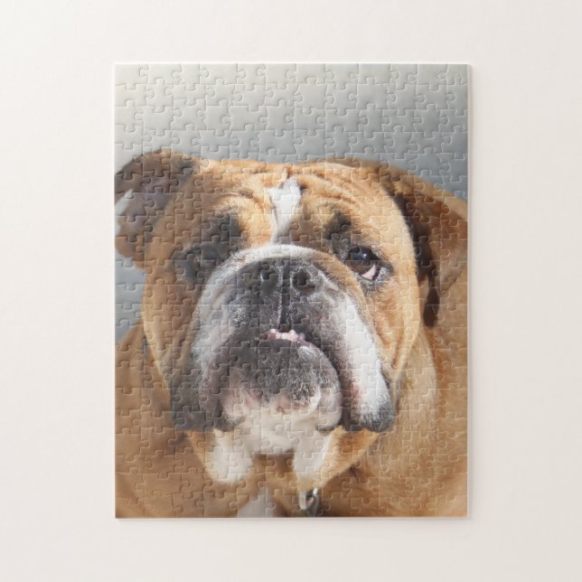 Puzzle Cara de bulldog - Bulldog inglés, marrón (Vertical)