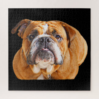 Puzzle Cara de bulldog - Bulldog inglés, marrón