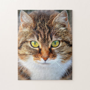 Puzzle Cara de gato lindo