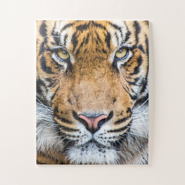 Puzzle Cara del tigre (Vertical)
