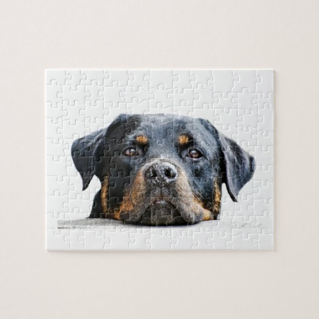 Puzzle Cara linda de la raza del perro de Rottweiler el | (Horizontal)